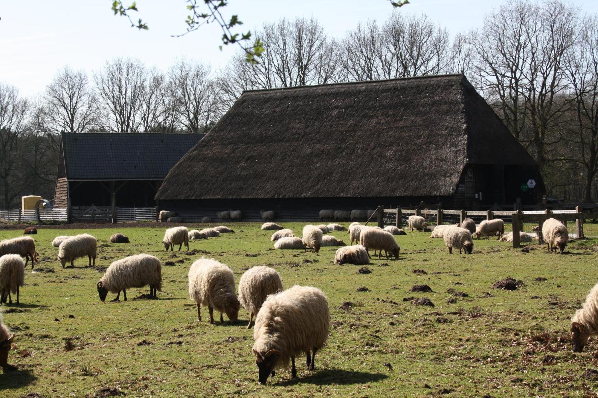 Herberg De Roskam Uffelte Exterior photo